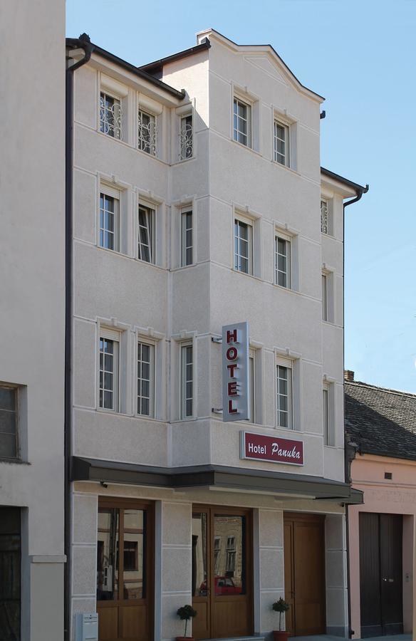 B&B Villa Panuka Pančevo Buitenkant foto